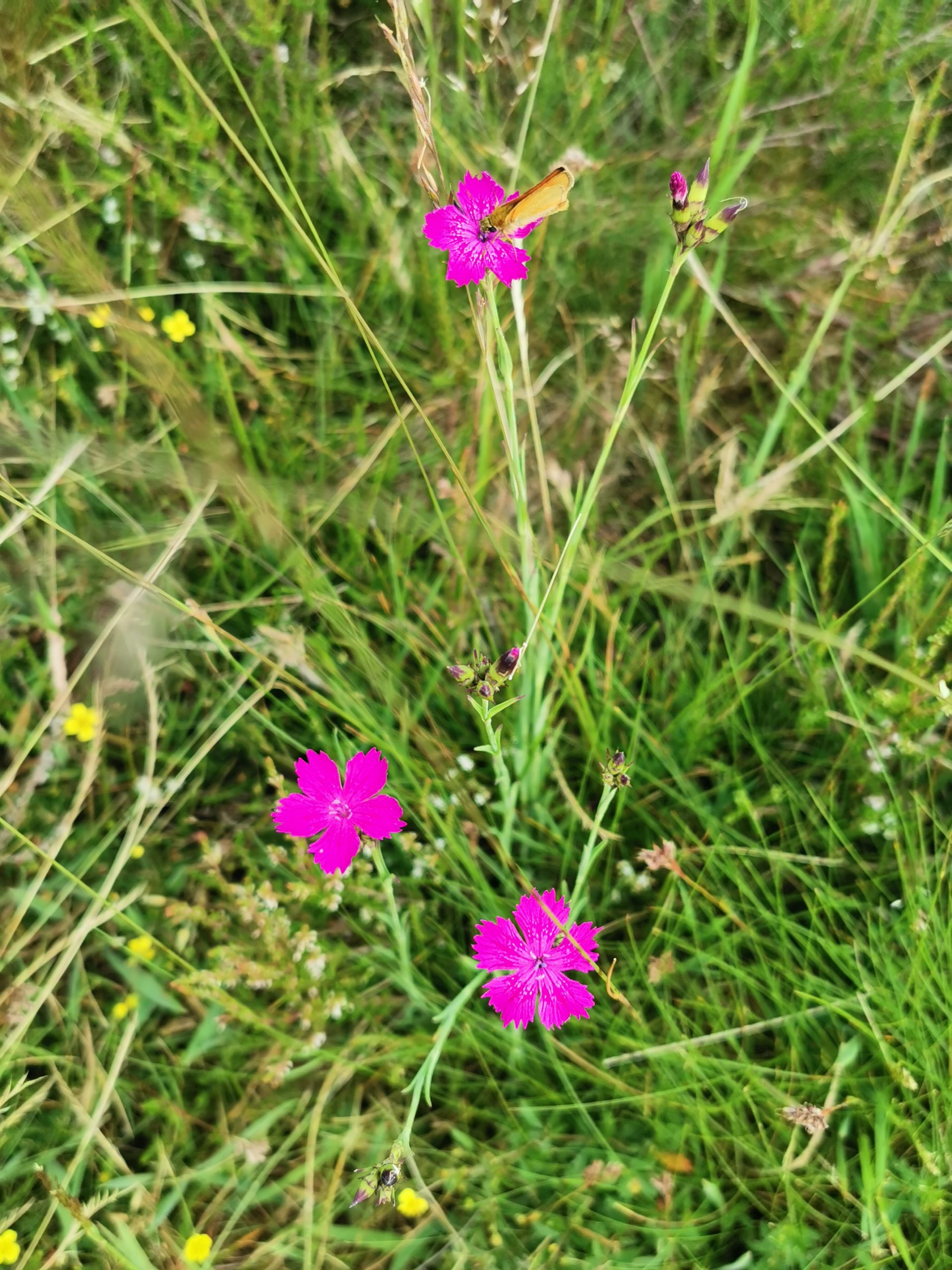 Effet-plan-eau-Syndicat-Vallée-Vézère-Dordogne