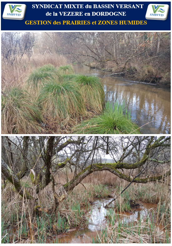 Valojoulx-Etang-syndicat-du-bassin-de-la-Vezere-Dordogne